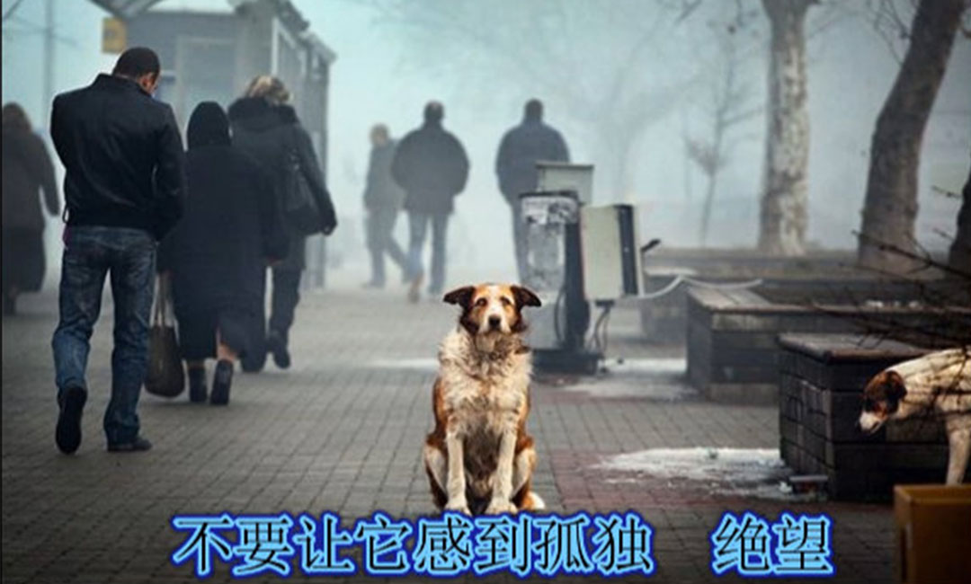 闵行闵行爱影圈微博微信转发案例
